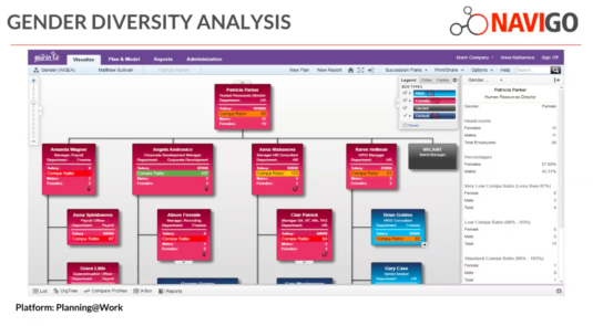 org-chart-analytics-diversity
