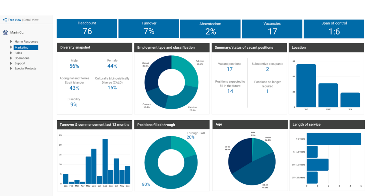 Manual to Automated HR Reporting & Org Charts | 4 Steps to Big Outcomes ...